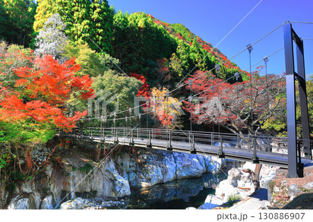 【大分県】快晴の猿飛千壺峡の紅葉(奥耶馬渓) 【大分県】快晴の猿飛千壺峡の紅葉(奥耶馬渓) 130886907