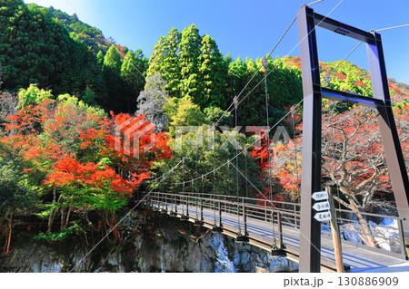【大分県】快晴の猿飛千壺峡の紅葉(奥耶馬渓) 【大分県】快晴の猿飛千壺峡の紅葉(奥耶馬渓) 130886909