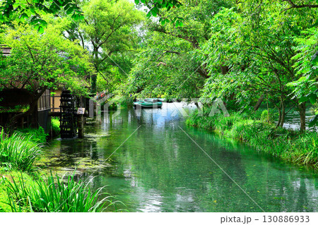 【長野県】大王わさび農場の水車(蓼川) 【長野県】大王わさび農場の水車(蓼川) 130886933