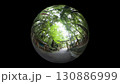 魚眼レンズで見た新緑の神社 130886999