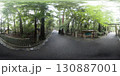 魚眼レンズで見た新緑の神社 130887001