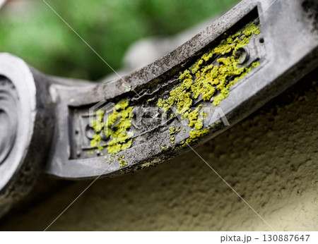 古い瓦に生えた黄色い苔｜経年を感じる日本建築のテクスチャ 130887647