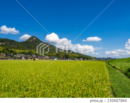 ウスバキトンボが飛ぶ広島県呉市郷原町の城山（岩山）の麓に広がる田園風景 130887860