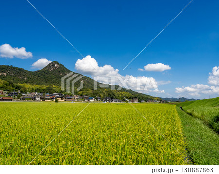 ウスバキトンボが飛ぶ広島県呉市郷原町の城山(岩山)の麓に広がる田園風景 ウスバキトンボが飛ぶ広島県呉市郷原町の城山(岩山)の麓に広がる田園風景 130887863