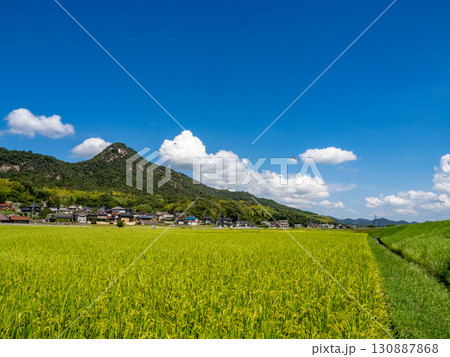 ウスバキトンボが飛ぶ広島県呉市郷原町の城山（岩山）の麓に広がる田園風景 130887868