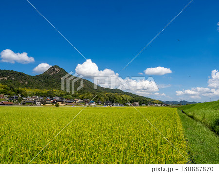 ウスバキトンボが飛ぶ広島県呉市郷原町の城山(岩山)の麓に広がる田園風景 ウスバキトンボが飛ぶ広島県呉市郷原町の城山(岩山)の麓に広がる田園風景 130887870
