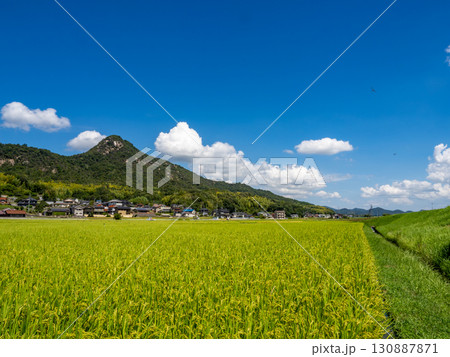 ウスバキトンボが飛ぶ広島県呉市郷原町の城山（岩山）の麓に広がる田園風景 130887871