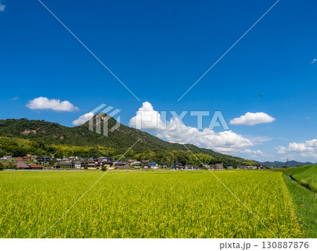 ウスバキトンボが飛ぶ広島県呉市郷原町の城山(岩山)の麓に広がる田園風景 ウスバキトンボが飛ぶ広島県呉市郷原町の城山(岩山)の麓に広がる田園風景 130887876