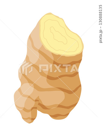 Ginger root. Aromatic herbal spice. Food ingredient, natural herb plant, sliced. Fresh and raw vegetable in cartoon flat style. Vector illustration isolated on white background 130888135