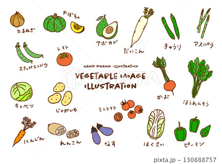 かわいい手描きの野菜イメージカラーイラストセット かわいい手描きの野菜イメージカラーイラストセット 130888757