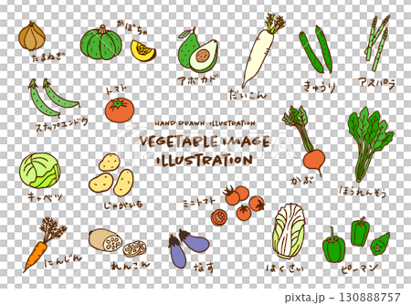 かわいい手描きの野菜イメージカラーイラストセット かわいい手描きの野菜イメージカラーイラストセット 130888757