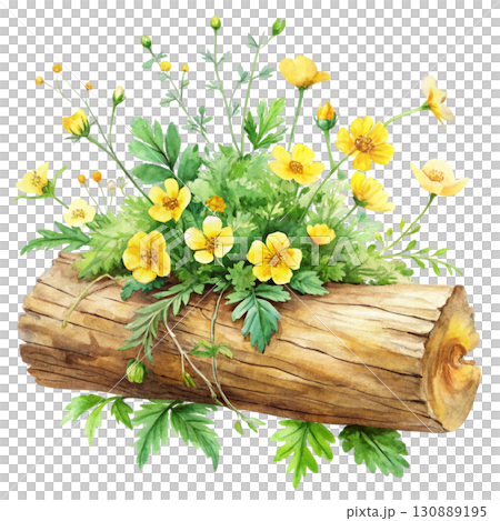 A watercolor illustration of a wooden log surrounded by bright yellow clipart watercolor white background  A watercolor illustration of a wooden log surrounded by bright yellow clipart watercolor white background  130889195