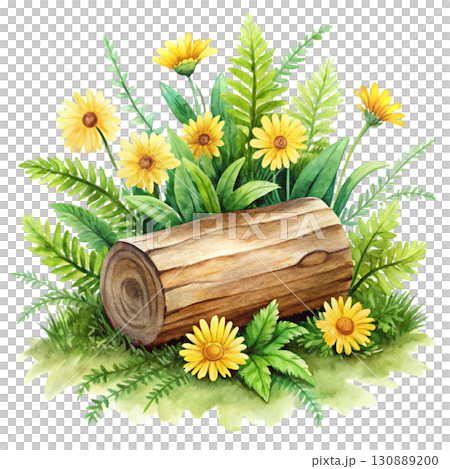 A watercolor illustration of a wooden log surrounded by bright yellow clipart watercolor white background A watercolor illustration of a wooden log surrounded by bright yellow clipart watercolor white background 130889200