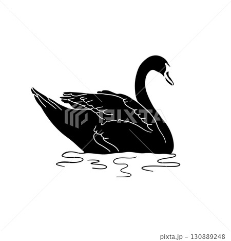 Monochrome hand drawn elegant swan silhouette swimming in water design element Monochrome hand drawn elegant swan silhouette swimming in water design element 130889248