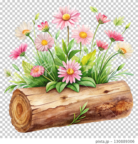 A watercolor illustration of a wooden log surrounded by soft pastel pink wildflowers clipart watercolor white background  130889306