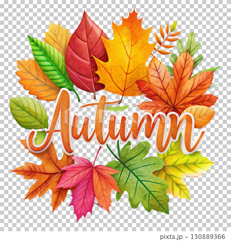 Autumn leaves illustration in warm earthy tones the word Autumn designed clipart watercolor white background  130889366