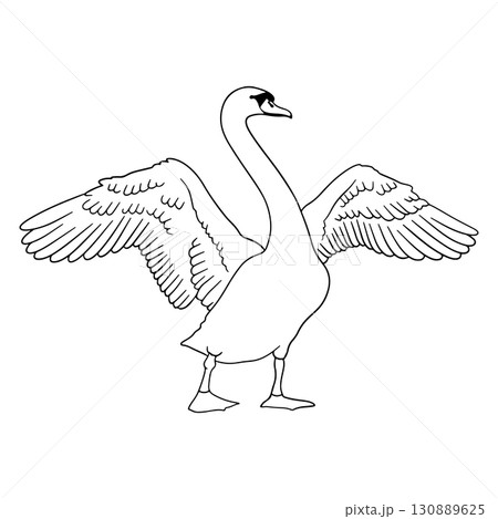 Monochrome hand drawn elegant swan clip art 130889625