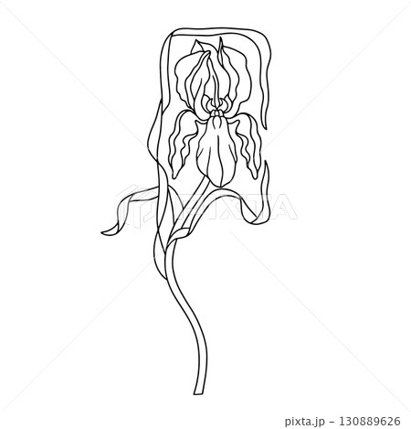 Monochrome art nouveau style modern hand drawn iris flowers clip art 130889626