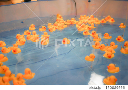 アヒルが泳ぐプール 130889666