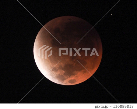 2025年9月8日　皆既月食（東京都板橋区より撮影） 130889818