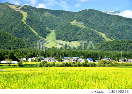 白馬五竜スキー場方面を望む(長野県白馬村)【2025.9】 130890238