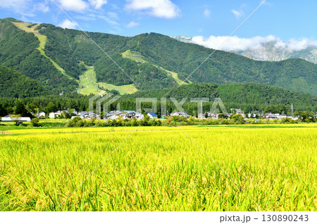 白馬五竜スキー場方面を望む(長野県白馬村)【2025.9】 白馬五竜スキー場方面を望む(長野県白馬村)【2025.9】 130890243