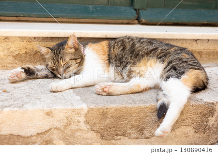 ヨーロッパ、クロアチアのドゥブロヴニクの寝ている三毛猫 ヨーロッパ、クロアチアのドゥブロヴニクの寝ている三毛猫 130890416