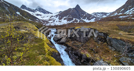 Wild River With Waterfall From Snowy Mountains On Senja Island In Norway 130890605