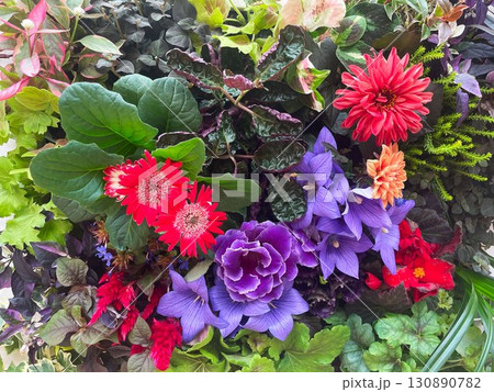 赤や紫、オレンジなど色鮮やかな花々と濃い緑の葉を組み合わせた華やかな寄せ植え 130890782