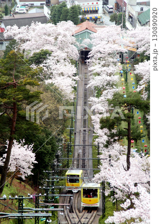天橋立・笠松公園(天橋立鋼索鉄道) 天橋立・笠松公園(天橋立鋼索鉄道) 130890920