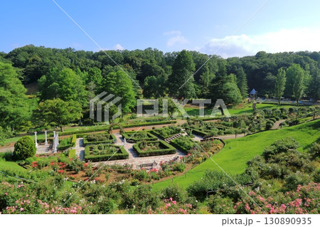 静岡県・伊豆市・虹の郷・ローズガーデン 静岡県・伊豆市・虹の郷・ローズガーデン 130890935