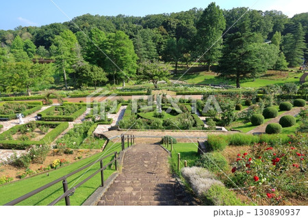 静岡県・伊豆市・虹の郷・ローズガーデン 130890937