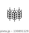 Vector farm wheat ears icon template. Line whole grain symbol illustration for organic eco business, agriculture, beer, bakery. Gluten free logo background 130891129