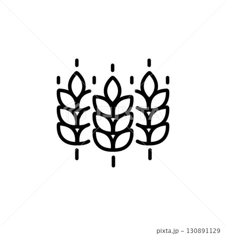 Vector farm wheat ears icon template. Line whole grain symbol illustration for organic eco business, agriculture, beer, bakery. Gluten free logo background 130891129