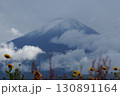 秋の富士山とキバナコスモス 130891164