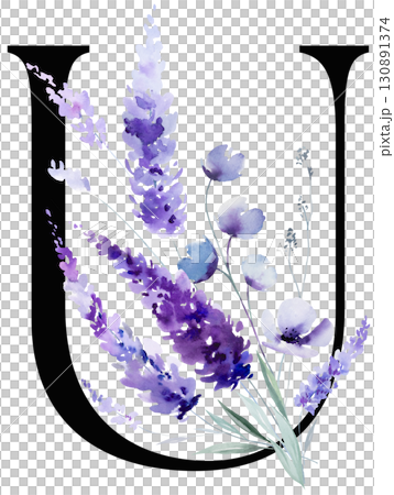Black letter U with watercolor purple lavender flowers, summer floral wedding isolated monogram 130891374