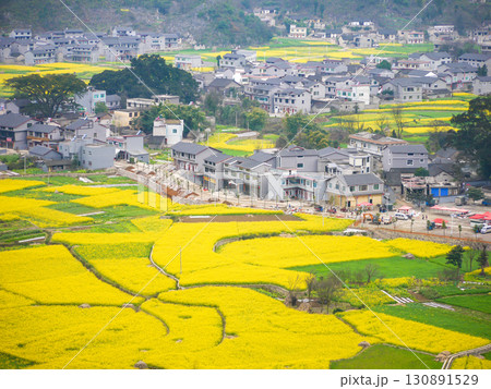 中国貴州省・春の万峰林 130891529