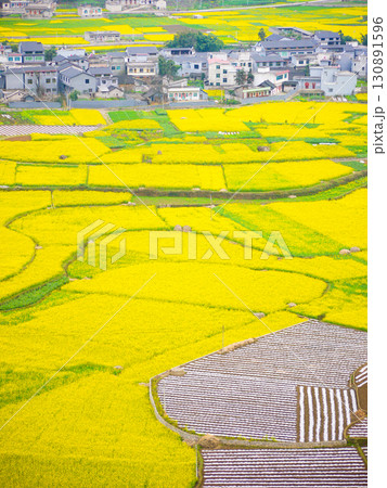 中国貴州省・春の万峰林 130891596