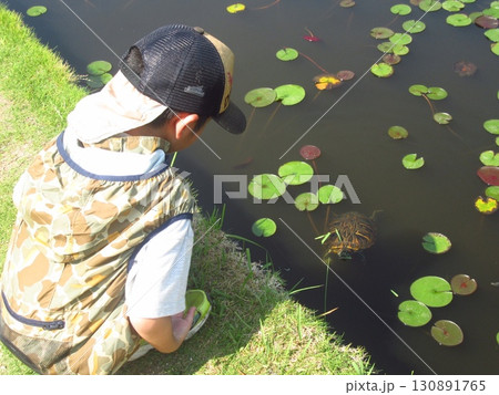 行船公園でカメを見る子供 130891765