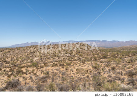 Vast Saguaro cactus landscape, Saguaro National Park, Arizona Vast Saguaro cactus landscape, Saguaro National Park, Arizona 130892169
