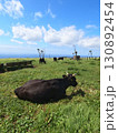 青空と緑の大地に放牧された牛 130892454