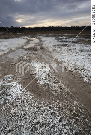 Saltpeter on the floor of a lagoon in a semi desert environment, La Pampa province, Patagonia, Argentina. 130892593