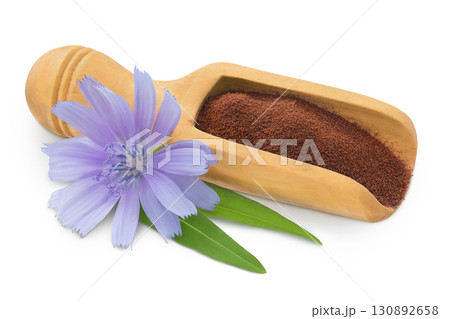 Chicory powder in wooden scoop and flower isolated on white background. Cichorium intybus. Chicory powder in wooden scoop and flower isolated on white background. Cichorium intybus. 130892658