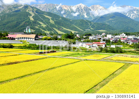 八方尾根(白馬八方尾根スキー場)~白馬岳(白馬三山)方面を望む(長野県白馬村)【2025.9】 八方尾根(白馬八方尾根スキー場)~白馬岳(白馬三山)方面を望む(長野県白馬村)【2025.9】 130893141