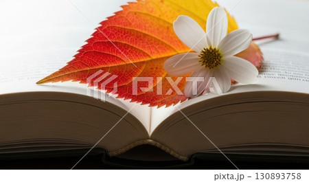 Symbolic School Start - Autumn Leaf on Textbook 130893758