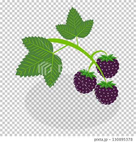 3D Isometric Flat  Set of Berries. Item 14 130895378