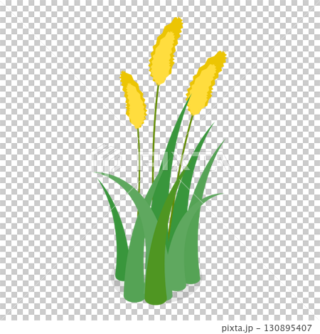 3D Isometric Flat  Set of Lake Aquatic Plants. Item 5 130895407