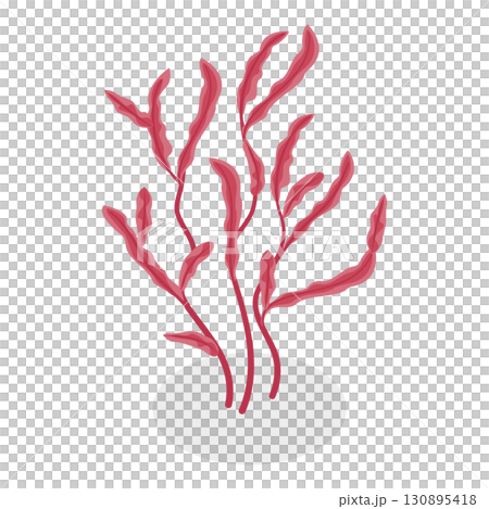 3D Isometric Flat  Set of Seaweeds. Item 4 130895418
