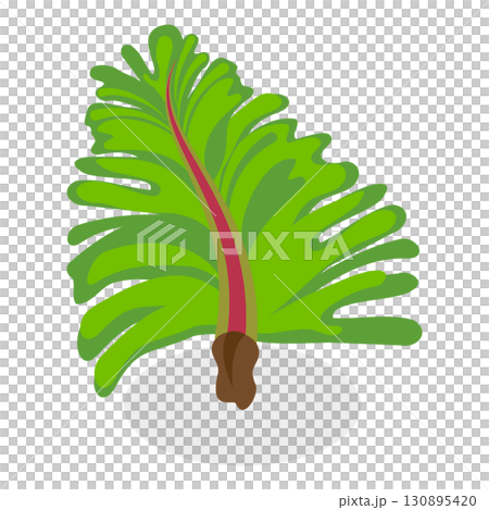 3D Isometric Flat  Set of Seaweeds. Item 6 130895420