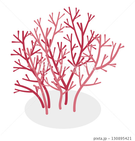 3D Isometric Flat  Set of Seaweeds. Item 7 130895421